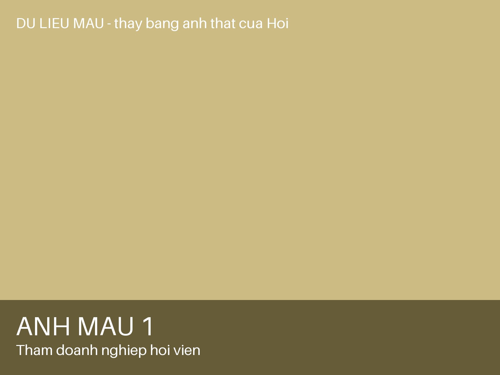 Ảnh 1 — Thăm doanh nghiệp hội viên