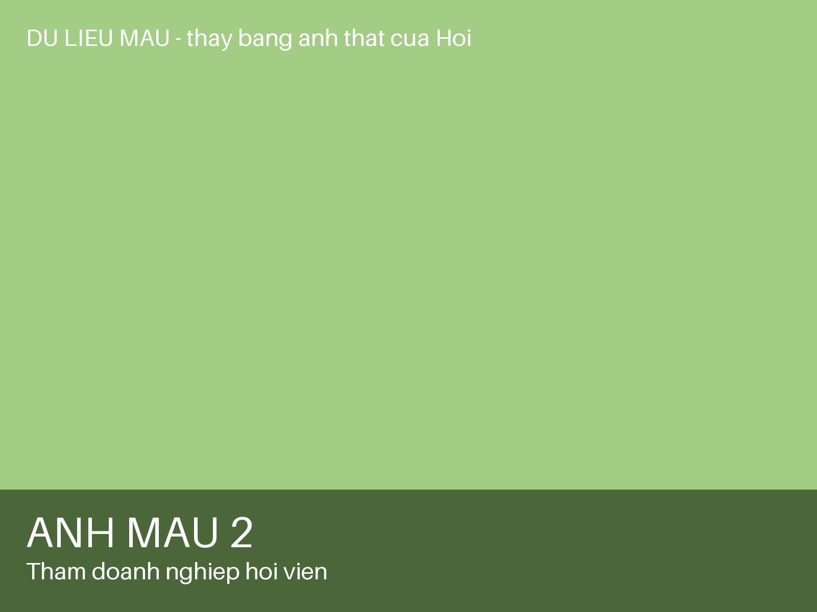 Ảnh 2 — Thăm doanh nghiệp hội viên