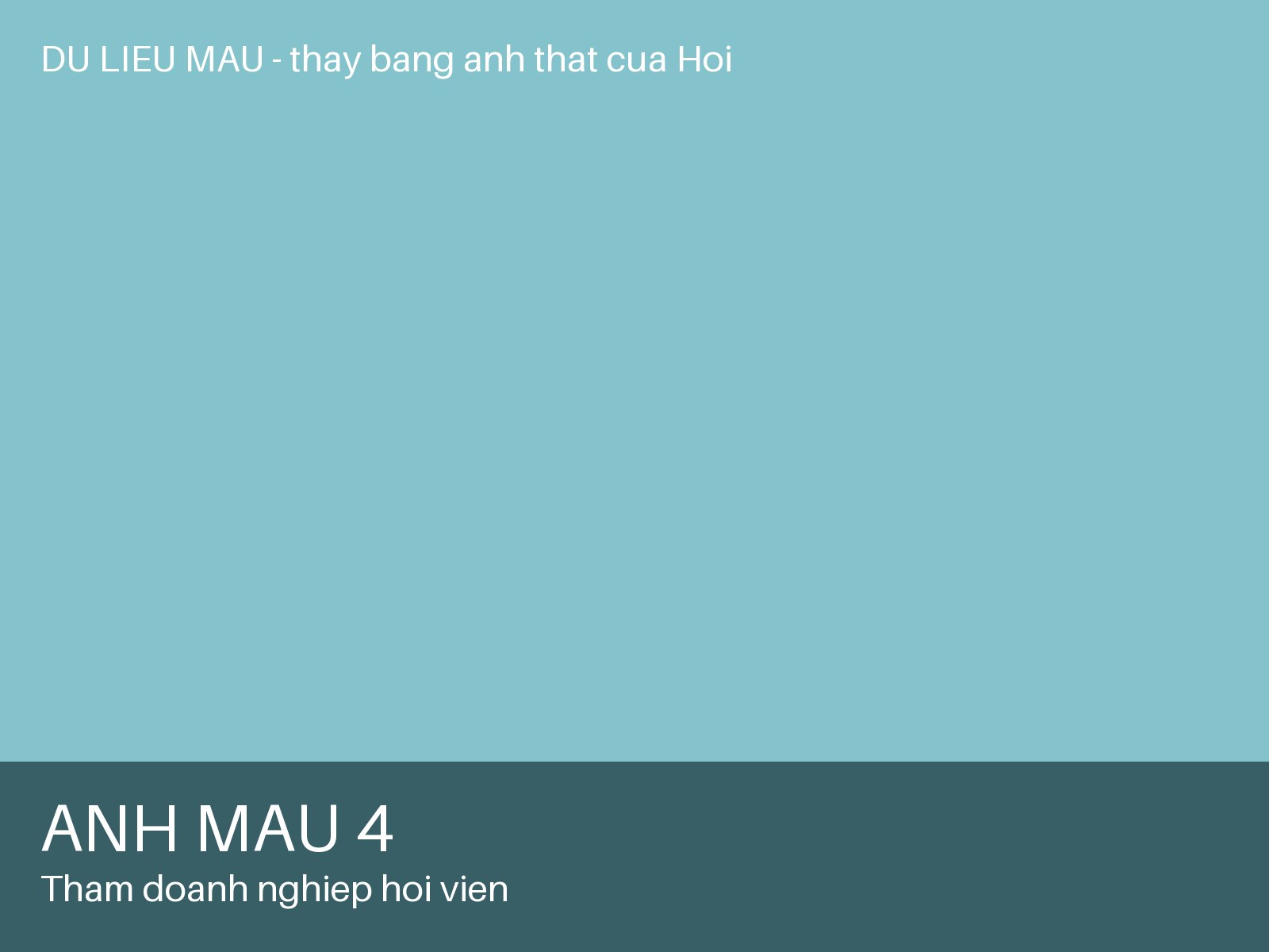 Ảnh 4 — Thăm doanh nghiệp hội viên