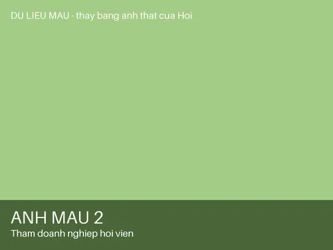 Ảnh 2 — Thăm doanh nghiệp hội viên