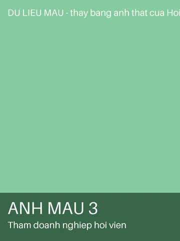 Ảnh 3 — Thăm doanh nghiệp hội viên