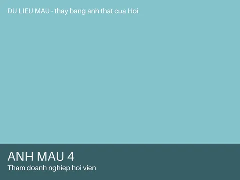 Ảnh 4 — Thăm doanh nghiệp hội viên