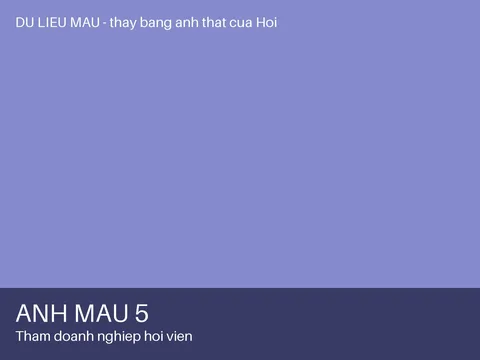 Ảnh 5 — Thăm doanh nghiệp hội viên